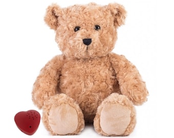 Recordable teddy with a recordable voice box