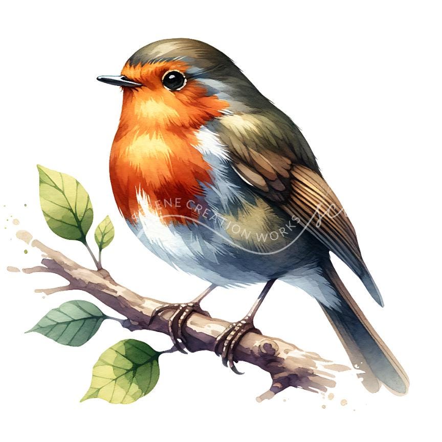 Christmas Robin Clipart 10 JPG Closeup, Printable Watercolor Clipart ...