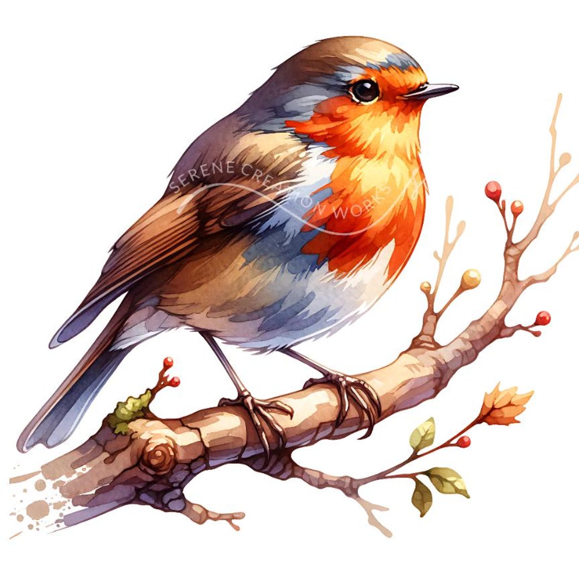 Christmas Robin Clipart 10 JPG Closeup, Printable Watercolor Clipart ...