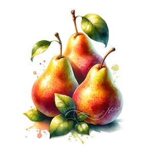 Clipart di pere ad acquerello 10 JPG Arte murale da cucina, Stampa di pere, Clipart di acquerelli stampabili, Download digitale, Artigianato di carta, diario spazzatura