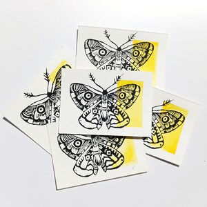 tarjeta de mariposa