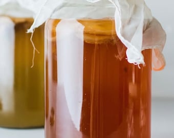 Overproduction, cheap! kombucha scoby with starter liquid in double sealed bag - culture - brewing kit - tea - mushroom