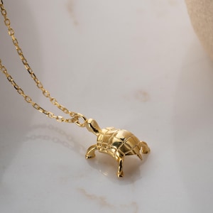 Puede incluir: Un collar con colgante de tortuga dorado. El colgante de tortuga tiene un caparazón texturizado y pequeñas patas. La cadena del collar es delicada y dorada. La joya se exhibe sobre una superficie blanca.