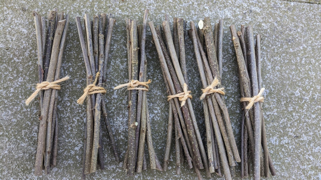 10 Hazelnut Sticks in a Set as a Snack for Rabbits, Chinchillas, Guinea ...