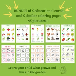 Tarjetas educativas y páginas para colorear similares, descarga digital, paquete de temas de naturaleza