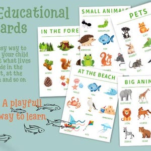 Printable Educational cards about the beach, the forest, small animals, big animals and pets, digital download, homeschool printables