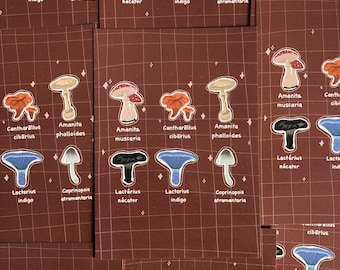 Impression d'art Carte postale A6 Champignons