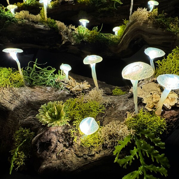 Small Natural Mushroom Driftwood Light Fixture