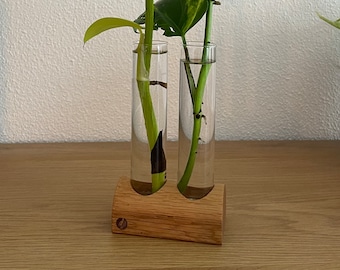 Propagation station for cuttings - hydroponic vase - cutting vase - propagation - oak wood plant stand with test tubes