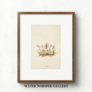 Antique Fern Botanical Print | Pressed Leaf Illustration | Vintage Nature Wall Art | Farmhouse Decor | Printable Botanical Sketch