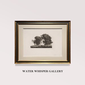 May include: A black and white framed print of a group of trees in a landscape setting. The print is titled "Water Whisper Gallery".