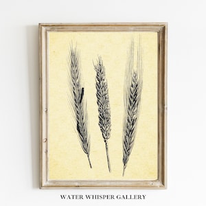 Vintage Botanical Print | Wheat Wall Art | Farmhouse Decor | Harvest Wall Art | Botanical Digital Print | Download Digital Art Prints