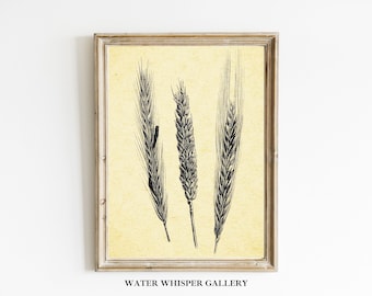 Könnte beinhalten: Eine gerahmte Schwarzweißillustration von drei Weizenähren auf gelbem Hintergrund. Der Text "WATER WHISPER GALLERY" ist unter dem Bild gedruckt.
