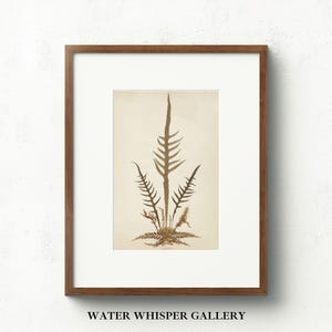 Fern Botanical Print | Antique Fern Illustration | Vintage Floral Printable | Botanical Sketch | Fern Leaves Art | Farmhouse Etching Decor