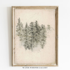 Vintage Pine Tree Sketch Pencil Drawing, Botanical Art Print, Pine Tree illustration Antique Tree Sketch Forest Landscape Digital Printable