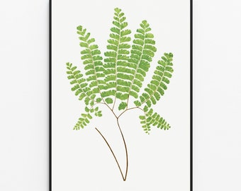 Vintage Fern Botanical Illustration, Antique Plant Drawing (Digital Printable)