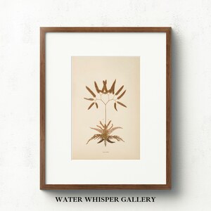 Vintage Fern Botanical Art Print | Pressed Leaf Sketch | Antique Plant Wall Decor | Digital Printable Illustration