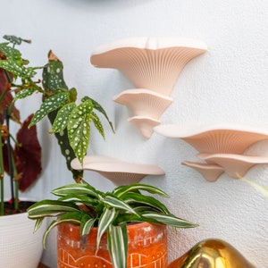 Mushroom shelves