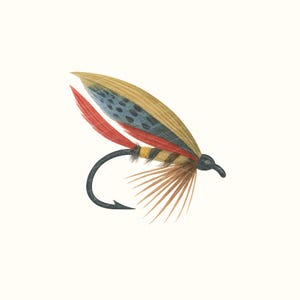 Puede incluir: Ilustración detallada de una mosca de pesca. Presenta un anzuelo negro, alas de plumas amarillas, azules y rojas. El cuerpo es marrón con rayas negras y una pequeña cabeza negra, sobre un fondo blanco.