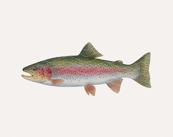 Rainbow Trout PNG: Fishing Shirt Design (Digital Download)