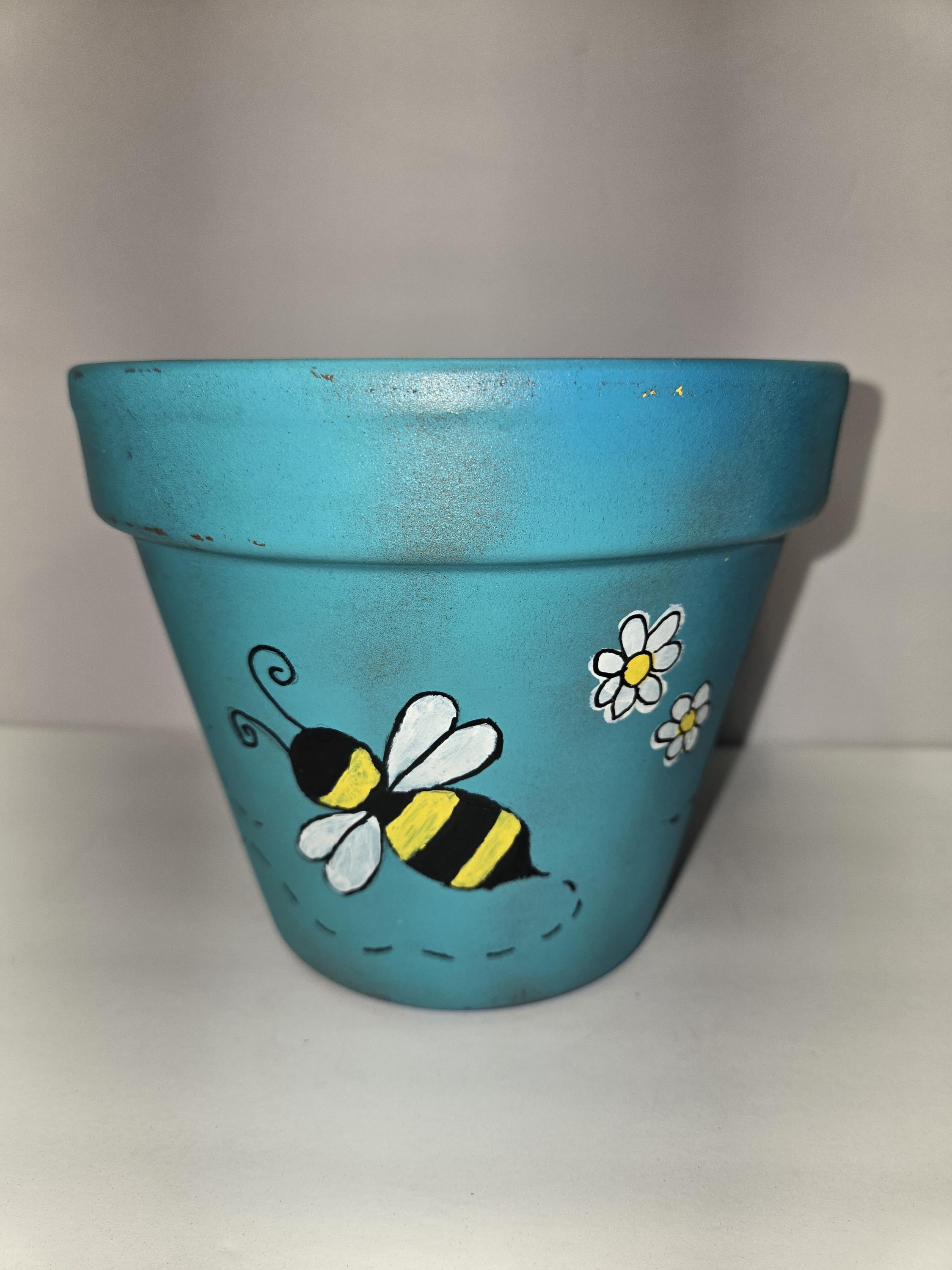 Hand-Painted Bee & Daisy Terracotta Pot: Turquoise Blue Indoor Planter