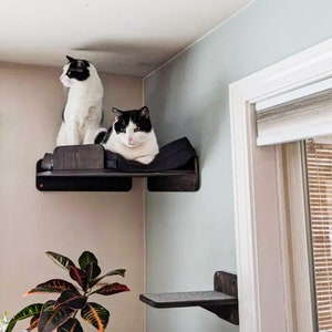 2匹の猫用キャットシェルフ、大型猫用ベッド、大型猫用コーナーウォールシェルフ、猫用壁掛け家具セット、2匹用猫用ベッド、猫用壁掛けステップ、猫用クライマー