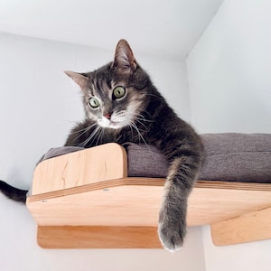 Grote hoek kattenplank, kattenmand, kattenplanken, kattenwandmeubels, houten kattenmeubels, kattenmuurtrap, kattenladder, kattenmuurplank
