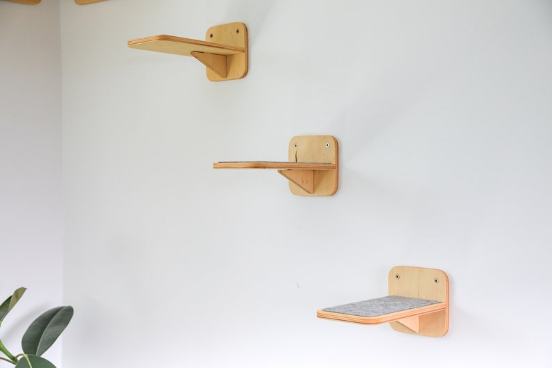 May include: Three wooden cat shelves mounted on a white wall. The shelves are made of light wood and have a simple design. The top shelf is empty, the middle shelf has a small piece of carpet on it, and the bottom shelf is empty.