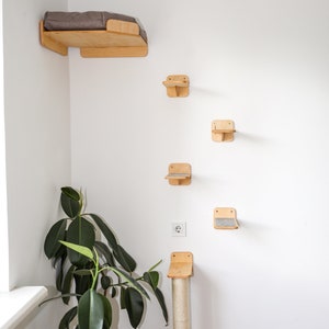 May include: A set of six wall-mounted cat shelves and a scratching post, made of light wood with a natural finish. The shelves are arranged in a vertical line on a white wall, with the scratching post on the bottom right. A green potted plant is in the corner of the room.