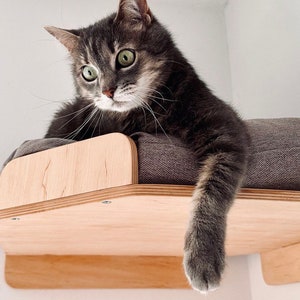 May include: A gray tabby cat with green eyes is lying on a wooden cat bed with a gray cushion. The cat's paw is hanging off the edge of the bed.