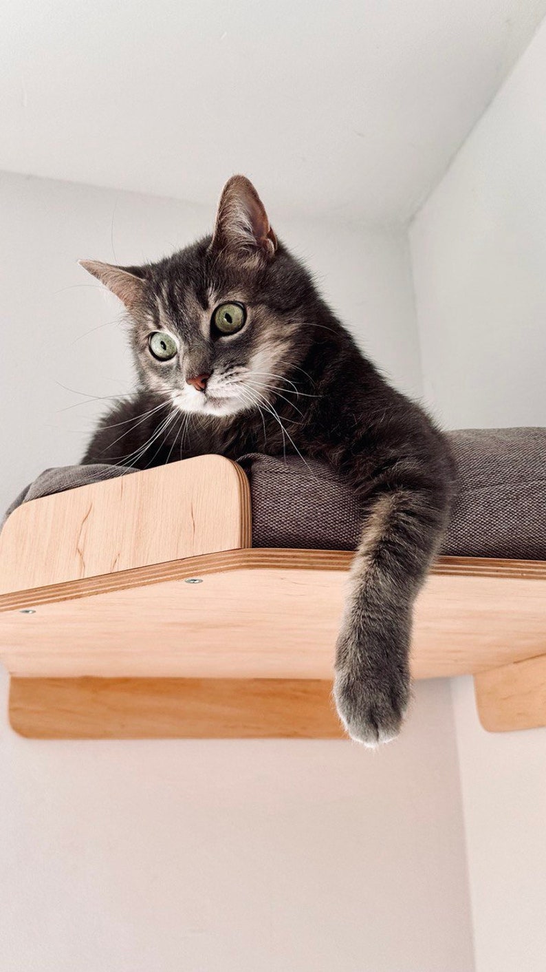May include: A gray tabby cat with green eyes is lying on a wooden cat bed with a gray cushion. The cat's paw is hanging off the edge of the bed.