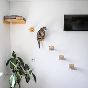 Cat steps, cat ladder, cat climbing wall, modern cat furniture, cat scratcher, cat wall shelves, set of cat wall furniture, corner cat bed