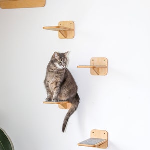 May include: A gray tabby cat sits on a wooden cat shelf attached to a white wall. The cat shelf is one of five shelves, all made of wood and attached to the wall. The shelves are all different sizes and shapes.