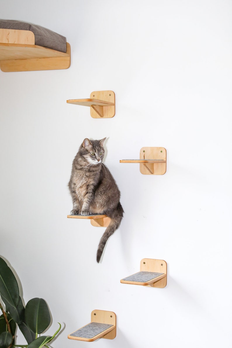 May include: A gray tabby cat sits on a wooden cat shelf attached to a white wall. The cat shelf is one of five shelves, all made of wood and attached to the wall. The shelves are all different sizes and shapes.