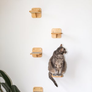May include: A gray tabby cat sits on a wooden cat shelf attached to a white wall. The cat shelf is one of five shelves, all made of wood and mounted on the wall in a vertical line. The shelves are designed for cats to climb and play on.