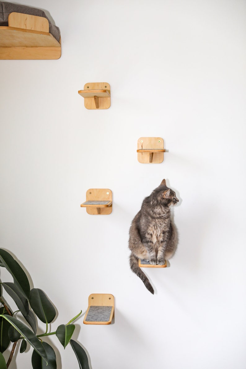 May include: A gray tabby cat sits on a wooden cat shelf attached to a white wall. The cat shelf is one of five shelves, all made of wood and mounted on the wall in a vertical line. The shelves are designed for cats to climb and play on.