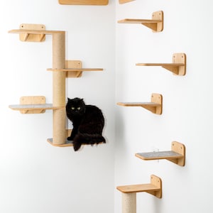 Può includere: Un albero per gatti in legno e mensole a parete. L'albero per gatti ha un palo per graffiare in sisal e più piattaforme. Un gatto nero è seduto su una delle piattaforme. Le mensole sono in legno e hanno una superficie grigia.