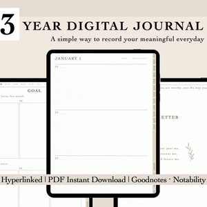 3 Jahre Digitales Journal | Tagebuch | Hyperlink-Tagebuch | Minimalistisch | Digitaler Brief | Digitales Notizbuch | Goodnotes Notability