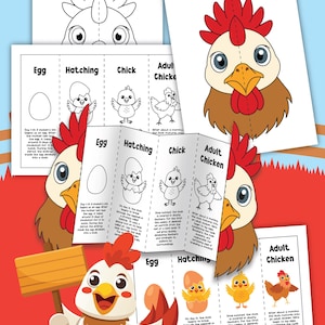 May include: Educational printables showing the life cycle of a chicken, from egg to adult. The illustrations include a cartoon chicken holding a sign, and diagrams of the egg, hatching, chick, and adult stages. The color scheme is red, white, and brown.