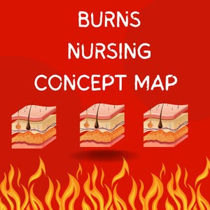 ¡Mapa conceptual de enfermería BURNS!