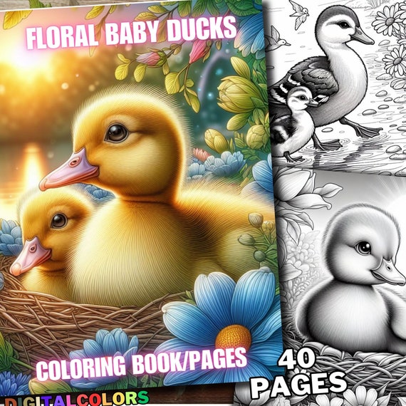 40 Duck Coloring Book Farm Animal Coloring Pages, Baby Animals Little Animal Coloring Books, Grayscale Designs for Adults and Kids Printable