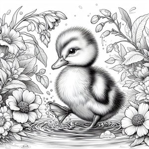 May include: A black and white illustration of a baby duckling standing in a pond with water ripples. The duckling is surrounded by flowers and leaves.