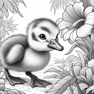 40 baby animal coloring baby animal coloring pages baby safari animals prints jungle animals coloring pages, quality designs, adults & kids image 7