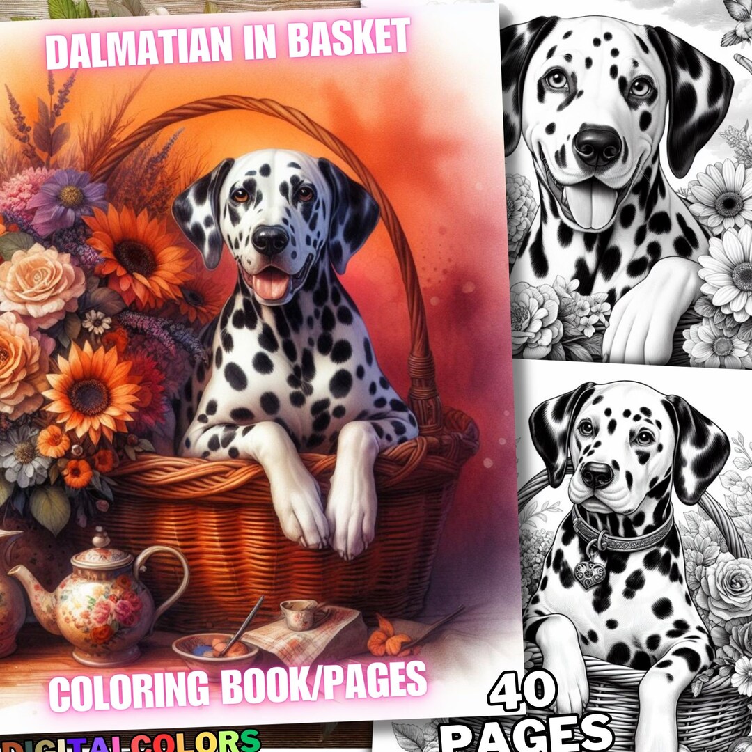 40 Dog Dalmatian in Basket Coloring Pages, Dogs Dalmatian in Basket ...