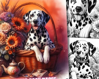 40 Dog Dalmatian in Basket Coloring Pages, Dogs Dalmatian in Basket Coloring Book, Pages coloring Grayscale Adult Kids Download Printable