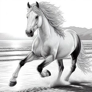 May include: A black and white drawing of a white horse running on a beach. The horse has a long flowing mane and tail. The waves are crashing in the background.
