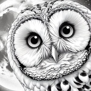 May include: A black and white illustration of an owl with large, round eyes. The owl is looking directly at the viewer. The owl's feathers are detailed and realistic.