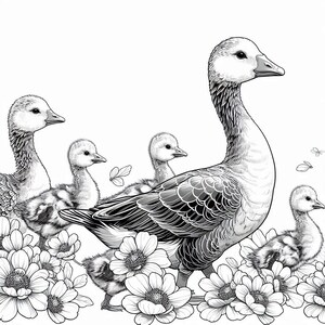 May include: A black and white illustration of a goose with five goslings walking through a field of flowers. The goose is in the center of the image and the goslings are surrounding it. The flowers are in bloom and have white petals.