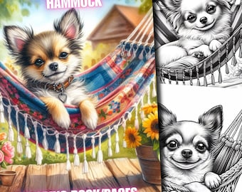 42 Cane Chihuahua su un'amaca, Cani Chihuahua su un'amaca Libro da colorare, Pagine da colorare in scala di grigi per bambini adulti Scarica stampabile