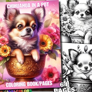 Puede incluir: Un libro para colorear de 64 páginas con un chihuahua sentado en una maceta dorada rodeado de flores rosas y amarillas. El título del libro es "Chihuahua in a Pot".
